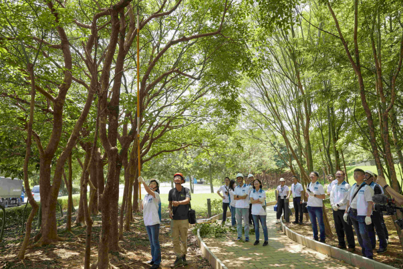 藝師教導大家認識樹木、檢查樹的健康狀況，學習修枝及碎枝覆土
