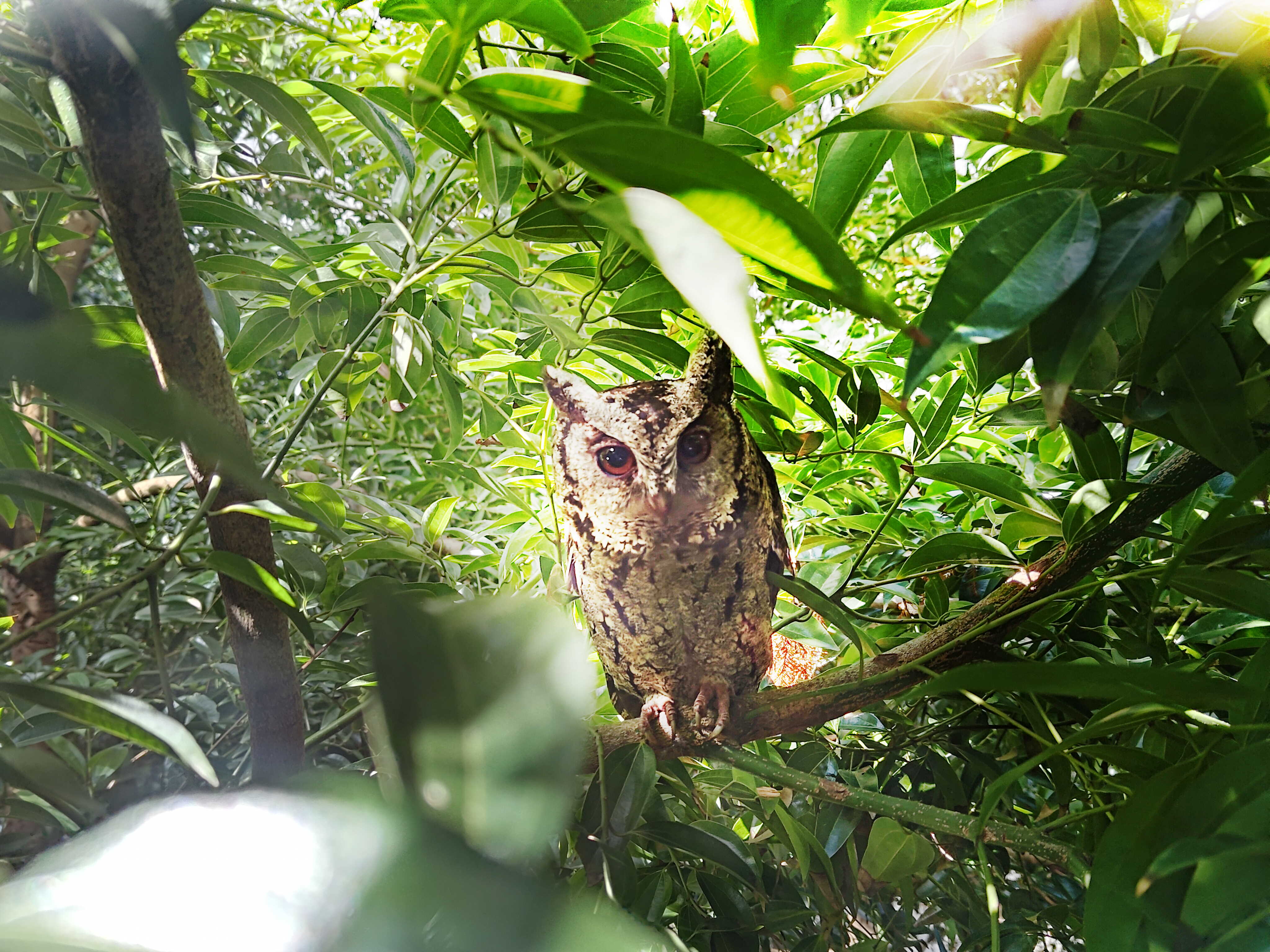 jinnian金年会致力提倡净零绿生活，16年以来在全球各厂区植树逾百万棵，造就各厂区树木蔚然成林，犹如森林工厂，成为许多生物的栖息地